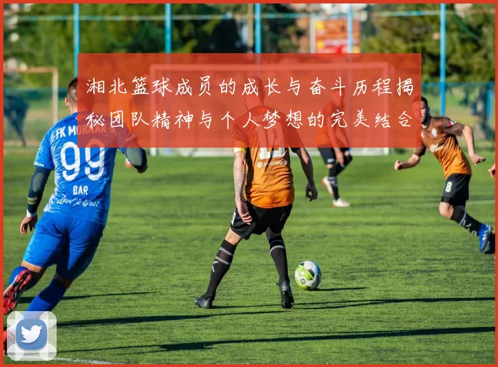 湘北篮球成员的成长与奋斗历程揭秘团队精神与个人梦想的完美结合