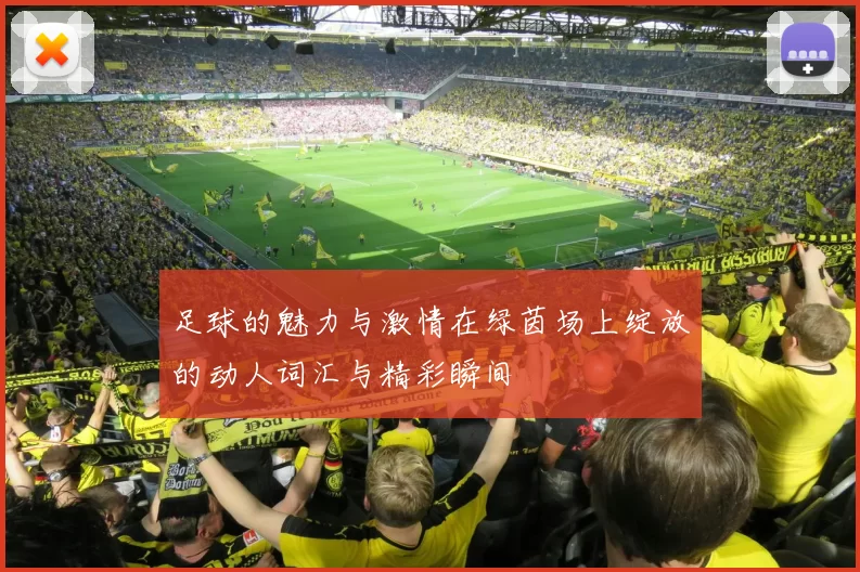 足球的魅力与激情在绿茵场上绽放的动人词汇与精彩瞬间