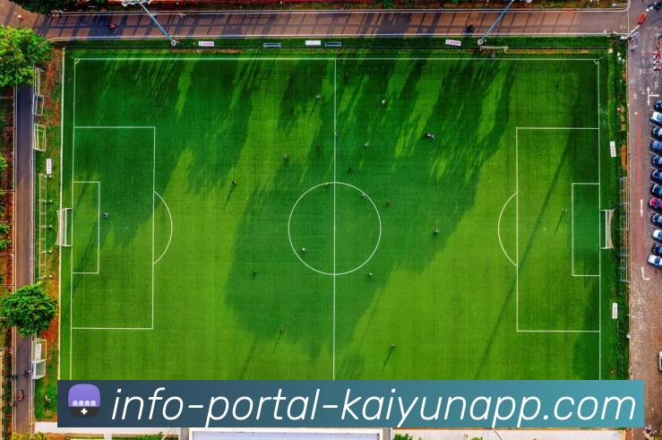 开云平台生态图